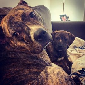 Meet your Posher, Taylor